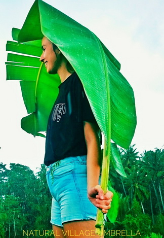 Banana leaf umbrella