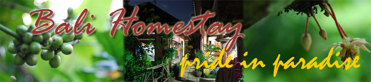 bali homestay