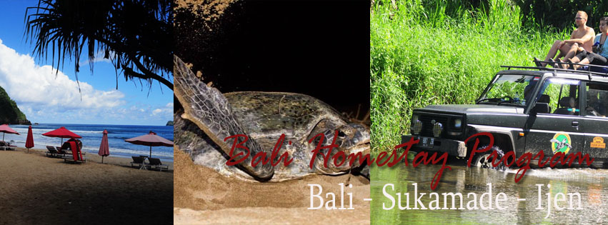 Bali Sukamade Ijen Program
