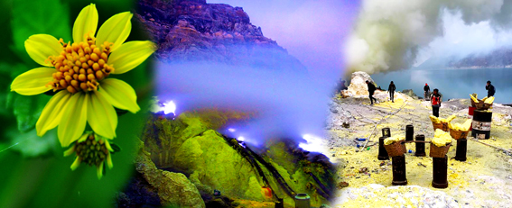 Bali Ijen Trekking 4 Days / 3 Nights Package