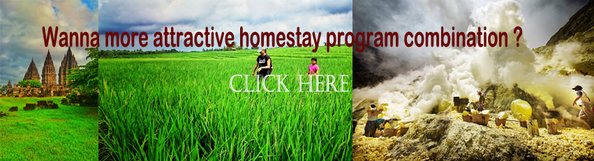 Bali Jogja Bromo Ijen Homestay Program