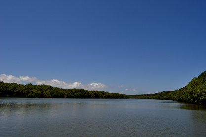 View on journery to Turtle conservation