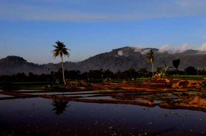Early morning at Glenmore
