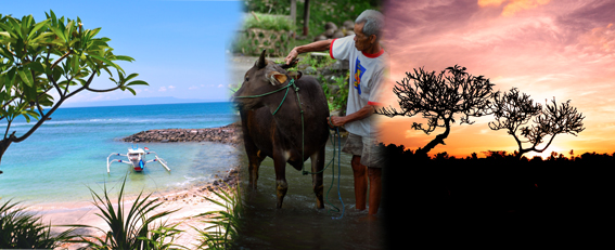 Homestay in East Bali, 5 Days / 4 Nights Staying in the village 