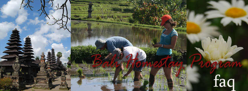 Bali Homestay Frequently Ask Question