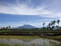 Raung mountain view from Glenmore