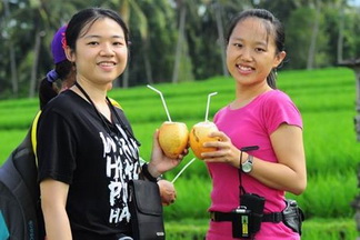 Village fresh coconut