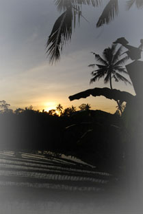 sunrise in Ngis